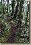 Whistle Lake Area of Anacortes