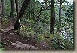 Whistle Lake Area of Anacortes