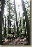 Whistle Lake Area of Anacortes