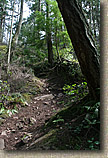 Whistle Lake Area of Anacortes