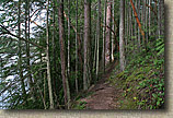 Whistle Lake Area of Anacortes