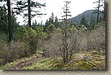 Whistle Lake Area of Anacortes