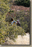 Indian Creek Trailwork