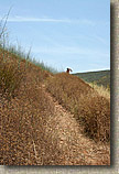 images/Trailwork/SycamoreCanyon-Trailwork-28MAY05-06.jpg