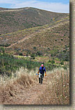 images/Trailwork/SycamoreCanyon-Trailwork-28MAY05-07.jpg